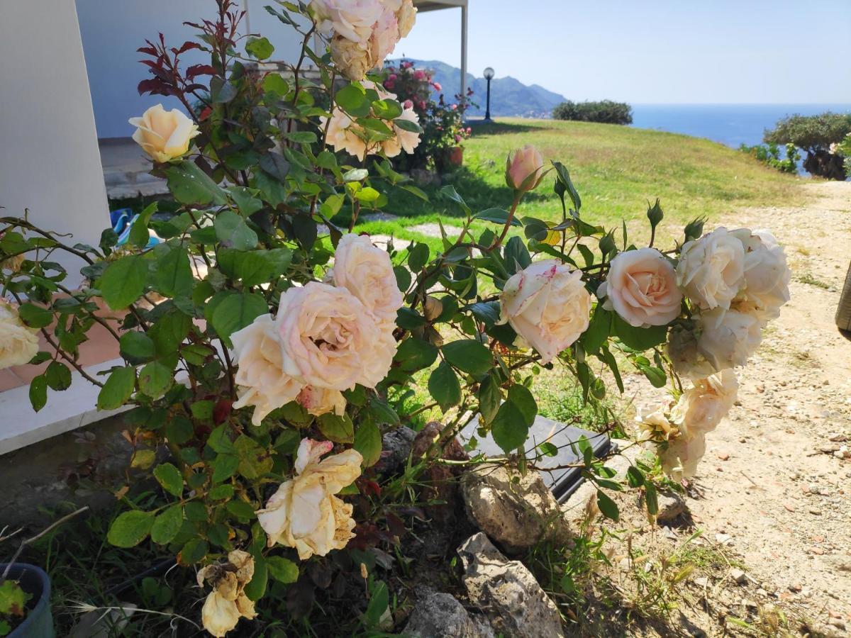 Villa Vardia-Amazing Seaviews With Heated Pool Sinarádes Dış mekan fotoğraf